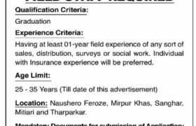 General Insurance Jobs in Sindh 2022