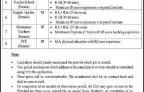Jobs at CB High School & College Sialkot 2022