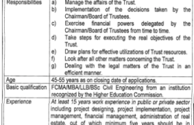 Jobs at Sheikh Sultan Trust Karachi 2022