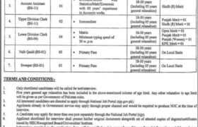 National Heritage & Culture Division Jobs 2022