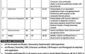 Jobs at Jinnah Model Pharmacy Lahore 2022