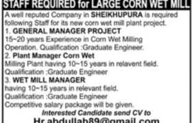 Jobs at Corn Wet Mill Plant Project 2022