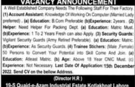 Well Established Company Jobs in Lahore 2022