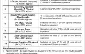 Jobs at Jinnah Education System 2022