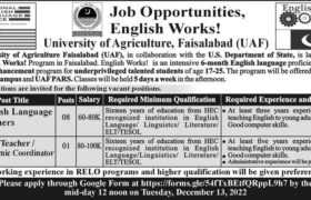Jobs at University of Agriculture Faisalabad 2022