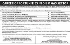 Jobs in Oil and Gas Sector Islamabad 2022