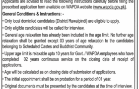 Jobs at WAPDA Hospital Rawalpindi 2022