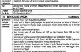Jobs at PDS&CEA 2022