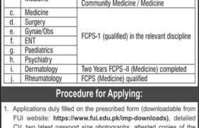 Jobs at Foundation University Islamabad 2022