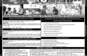 Join Pakistan Air Force as PAF Officers