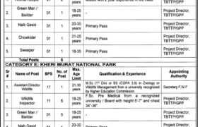 Punjab Wildlife & Parks Department Jobs 2022