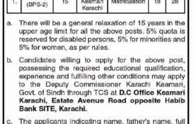 Jobs at Revenue Department Sindh 2022