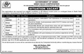 Jobs at Sindh Seed Corporation 2022