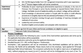 Jobs at Kabirwala Public School Khanewal 2022