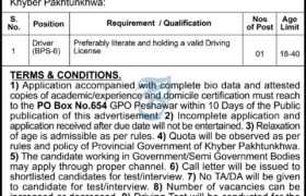 Driver Vacancy at Govt Org KPK 2023