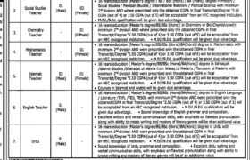 Jobs at Center of Excellence Schools Sialkot 2023