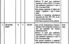 Jobs at Energy Department Punjab 2023