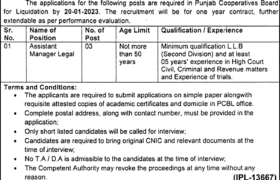 Punjab Cooperative Board for Liquidation Jobs 2023
