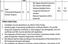 Vacancy at Jinnah Hospital Lahore 2023