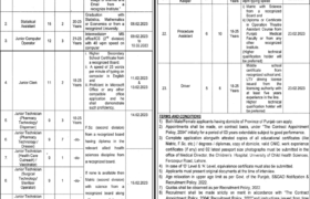 Jobs at The Childrens Hospital Lahore 2023