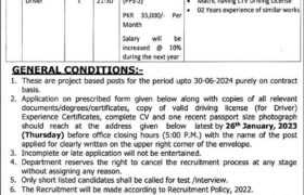 Jobs at Tourism Department Punjab 2023