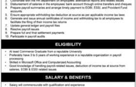 Jobs at LRBT Central Office Karachi 2023