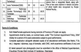 Jobs at CPEIC Wazirabad 2023