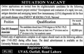 Research Position at UVAS Lahore 2023