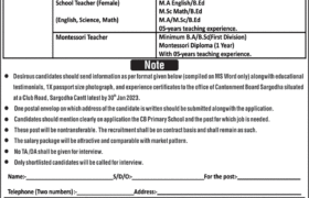 Jobs at CB Primary School Sargodha Cantt 2023