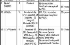 Jobs at WAPDA Hospital Faisalabad 2023