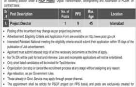 Position Available at PSDP Project Islamabad 2023
