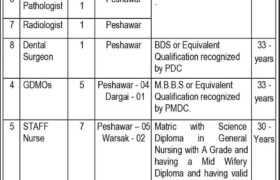Positions at WAPDA Hospital Peshawar 2023