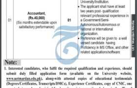 Accountant Job at UET Mardan 2023