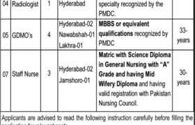 Positions at WAPDA Hospital Hyderabad 2023