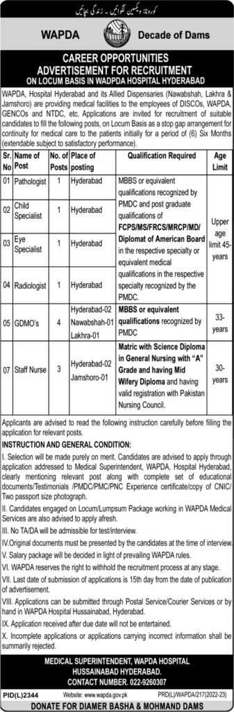 Positions at WAPDA Hospital Hyderabad 2023