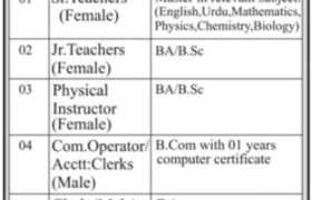 Jobs at NRTC Public School & College Haripur 2023