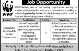 Jobs at WWF Multan 2023