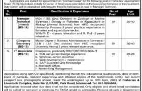 Positions at Fisheries Development Board 2023