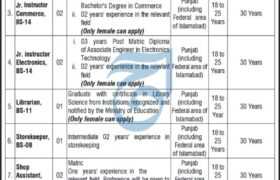 Positions at Govt Polytechnic Institute for Women 2023