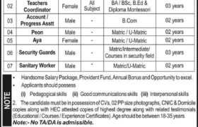 Fazaia Education System Peshawar Jobs 2023