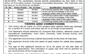 Vacancies at Municipal Committee Burewala 2023