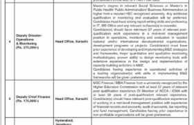 New Jobs Available at PPHI Sindh 2023