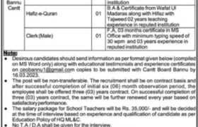 Jobs at Cantt Public School & College Bannu 2023