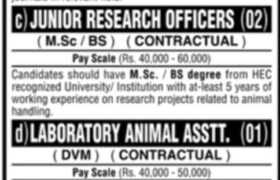 Positions at ICCBS University of Karachi 2023