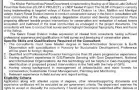 Position at Malakand Forest Division 2023