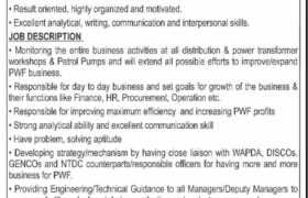 New Job at Pakistan Wapda Foundation 2023
