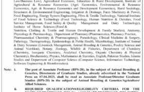 Jobs at University of Agriculture Faisalabad 2023
