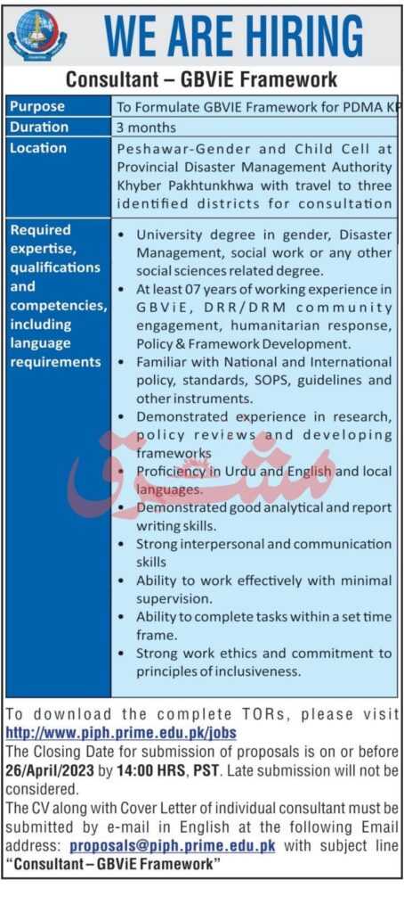 Position at PDMA Peshawar 2023