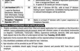 Positions & Jobs at UOT Nowshera 2023