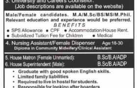 Jobs at Sadiq Public School Bahawalpur 2023